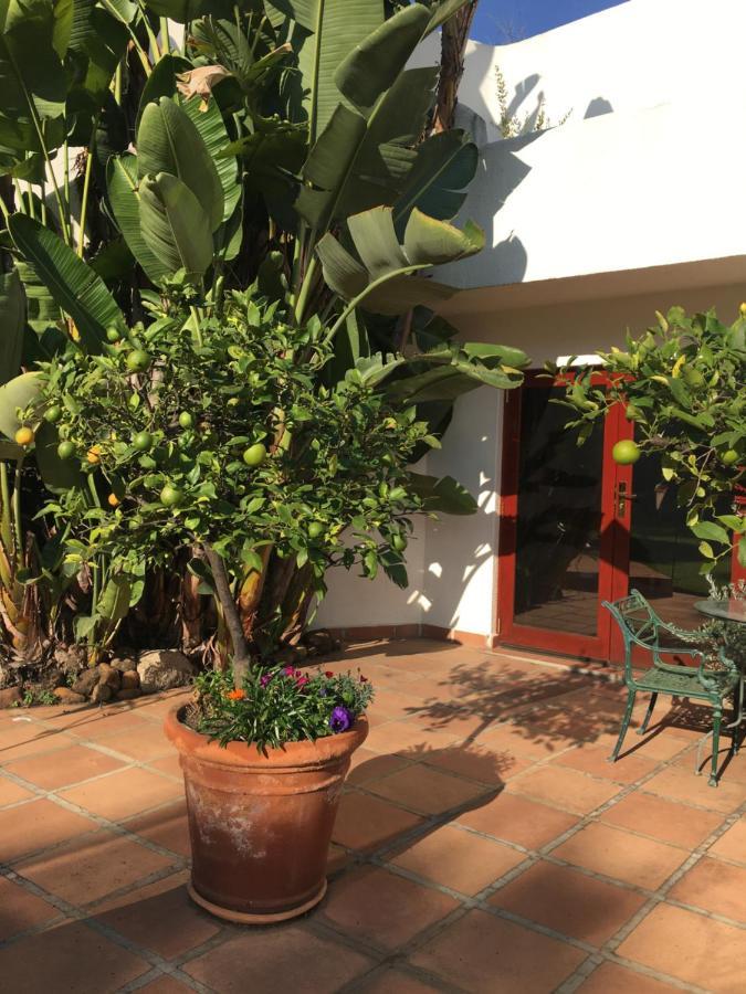 The Oasis Boutique Hotel & Residency Johannesburg Eksteriør billede